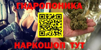 СК Краснознаменск
