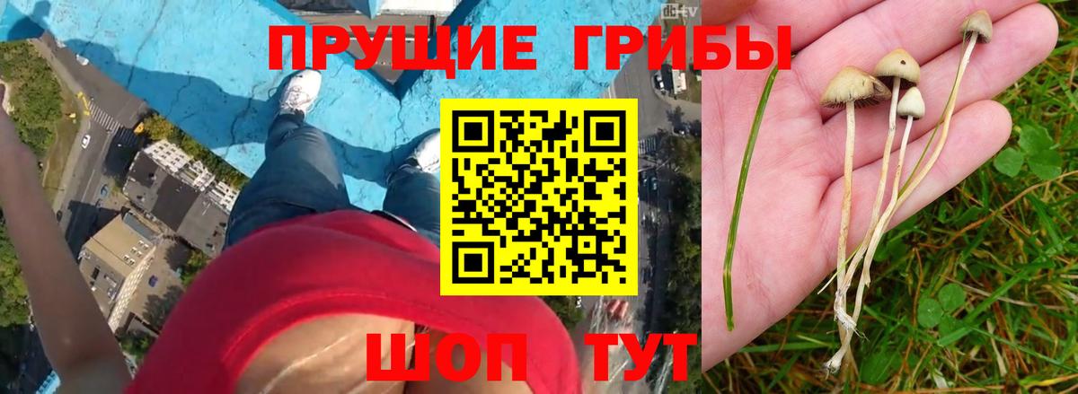 Псилоцибиновые грибы Magic Shrooms Керчь